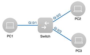 Timeline

Description automatically generated